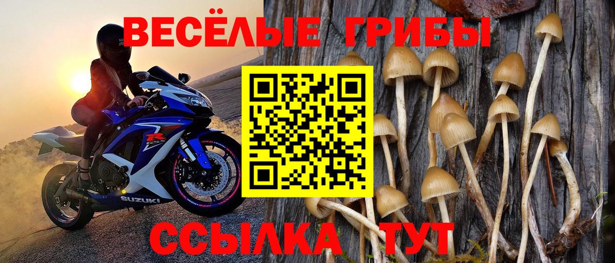 Галлюциногенные грибы мухоморы Новоалтайск