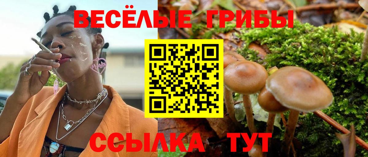 Псилоцибиновые грибы мухоморы  Вход с VPN  Псилоцибиновые грибы прущие грибы  Новоалтайск 